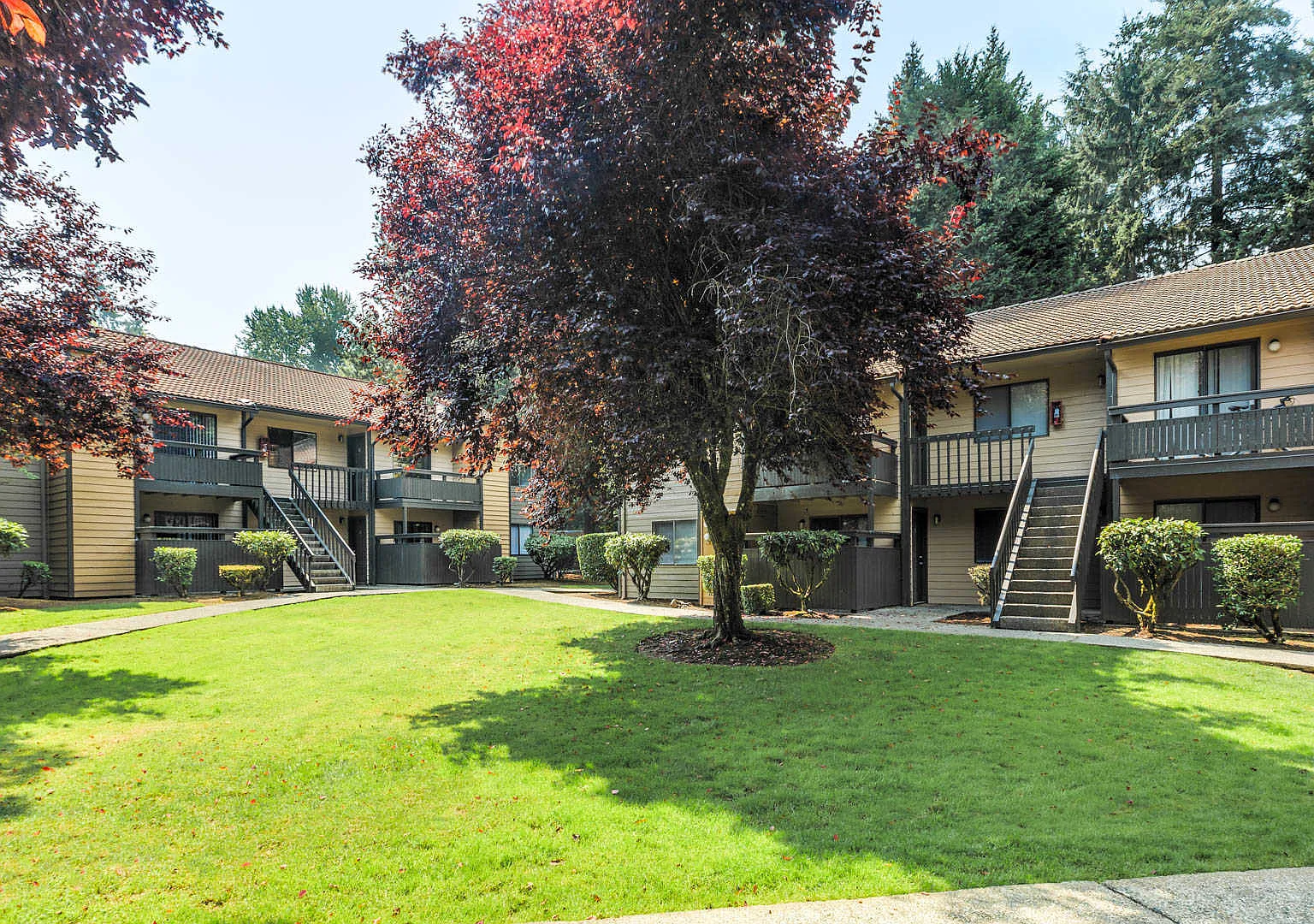 Bellevue Meadows — Photo 1
