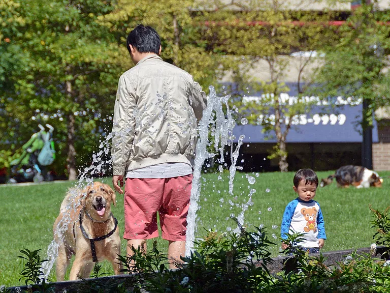 Explore more than 10 parks within a mile of the community.