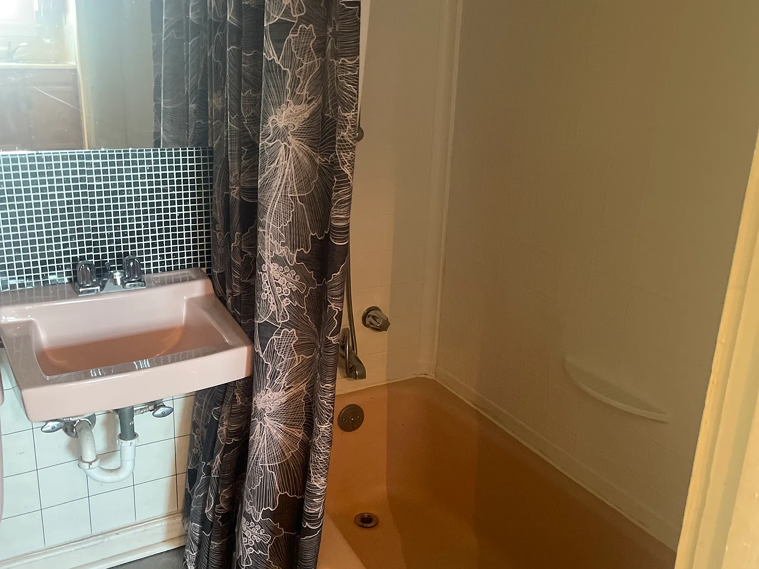 1 bed, 650 sqft, $875 — Photo 2