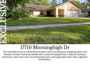 17710 Morninghigh Dr, Lutz, FL 33549