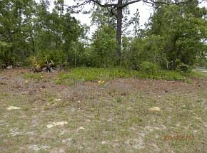 5th image of 5075 W Yuma Ln