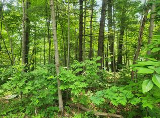 10035 Maple Ln, Evart, MI 49631