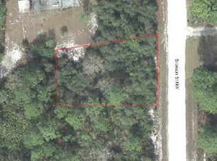 103 Bronson St NW, Lake Placid, FL 33852