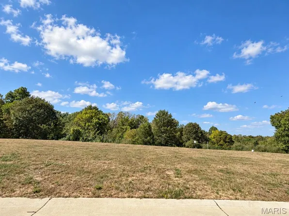 13 Forestdale Ln, Warrenton, MO 63383