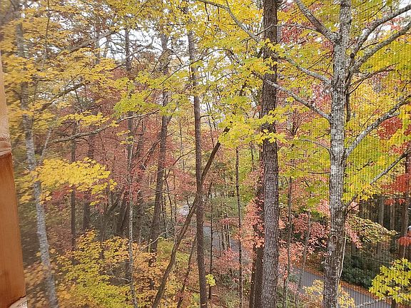 Back Porch View in the Fall