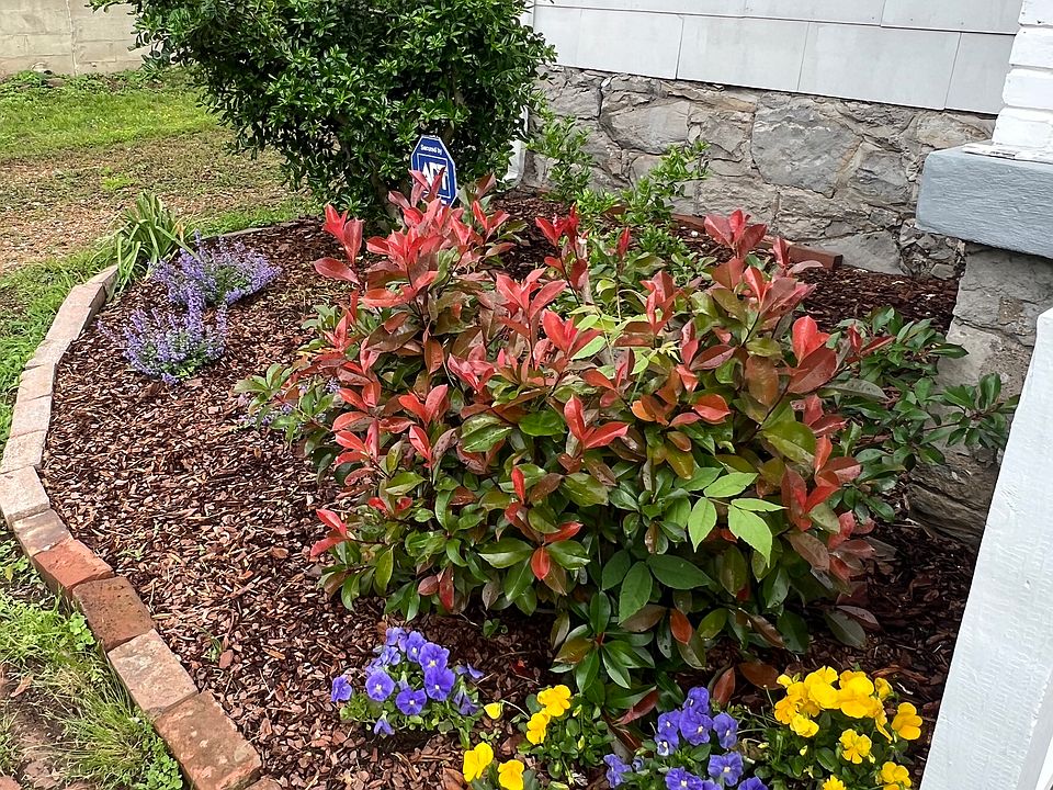 Front landscaping