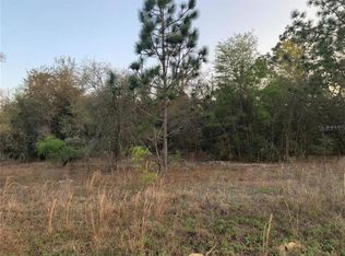 65 SW Hilliard Ave #65, Dunnellon, FL 34431