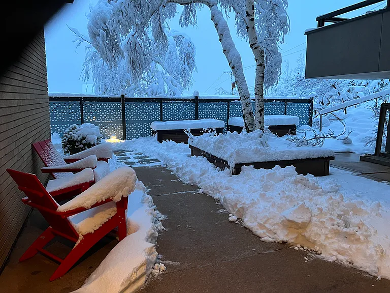Winter wonderland