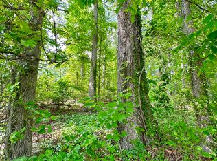 1 & 2 Saint John St, Clifton Forge, VA 24422