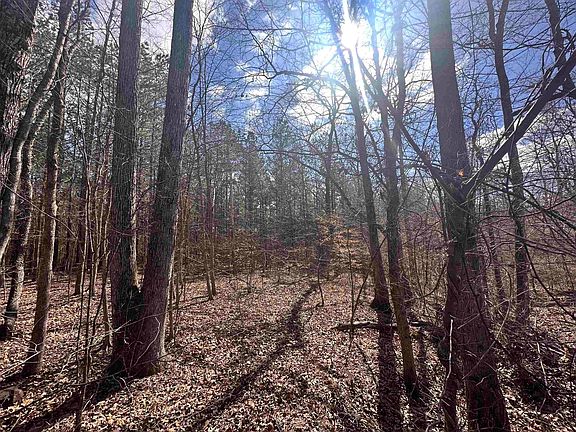 4th image of 0 Pine Top Rd