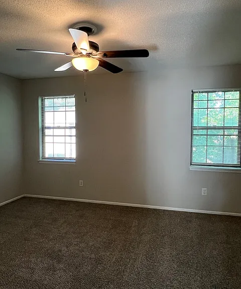 Master bedroom windows