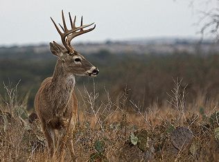 Hiram Cook, Blanco, TX 78606