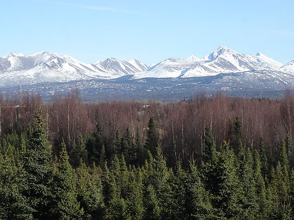View from Master Bedroom