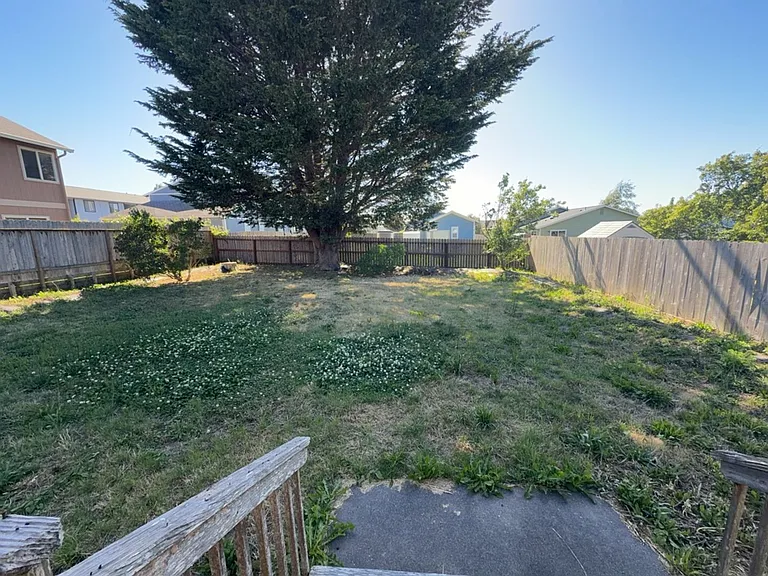 3121 Matthew Ln — Photo 24