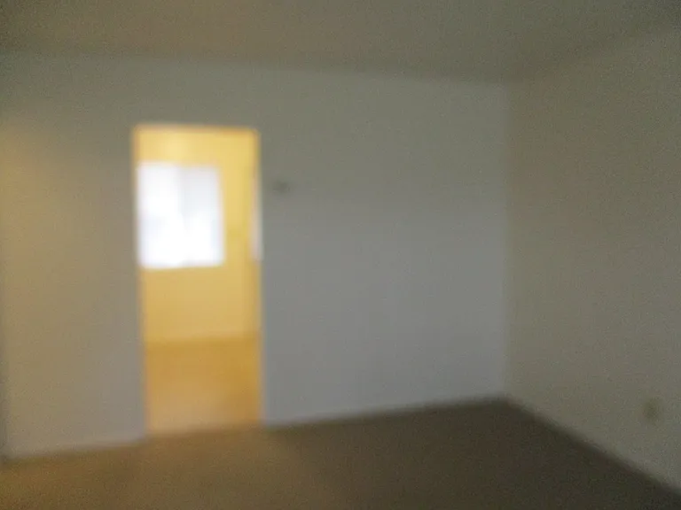 443 Flower St #A — Photo 6