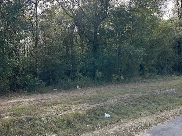 0 Northside Church Rd #1&2, Lucedale, MS 39452