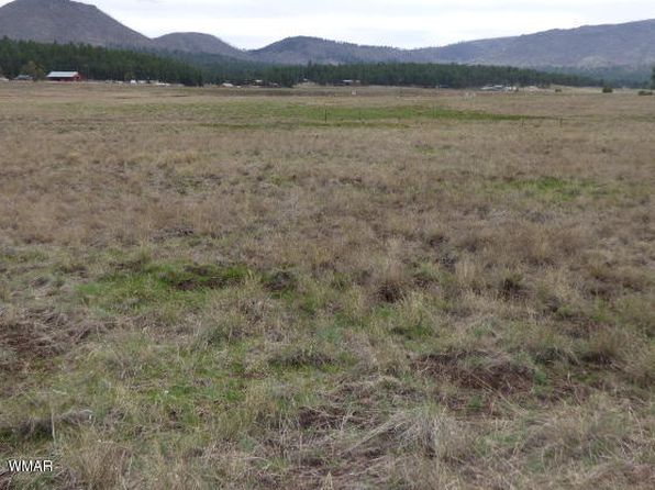 LOT-25A The Rnch #AT, Alpine, AZ 85920