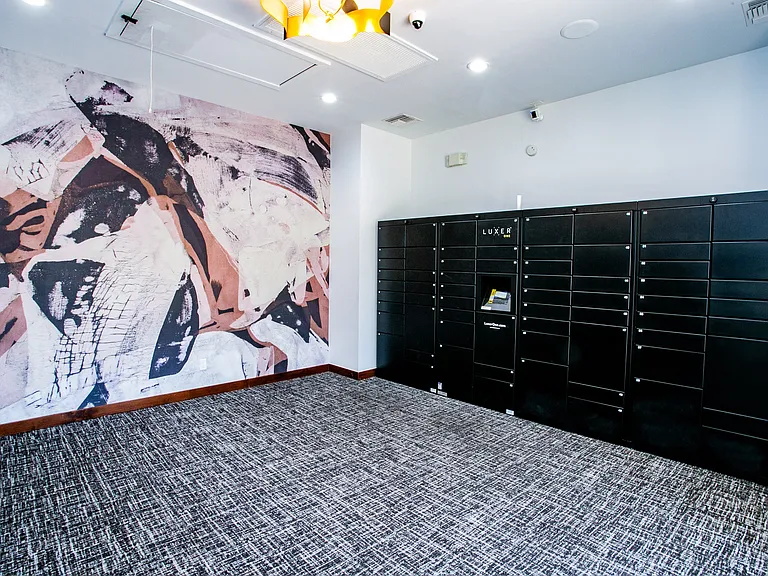 Secure Package Lockers