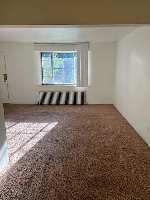 1 bed, $800 — Photo 2