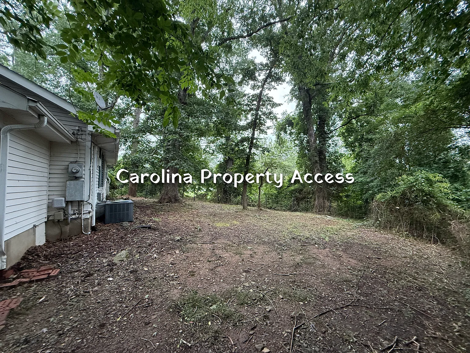 2 bed, 1172 sqft, $1,200 — Photo 4