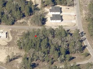 FISHER RUN PLACE LOT 15, OCKLAWAHA, FL 32179