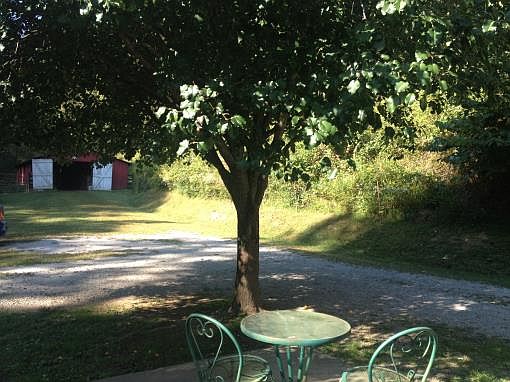 4th image of 55 Trevor Ln