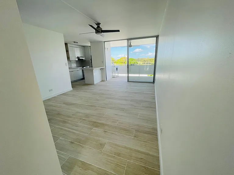 3027 Pualei Cir — Photo 3