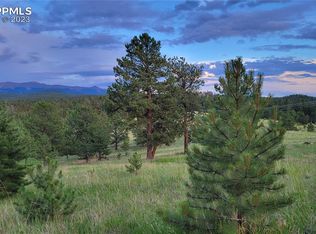 125 Berylium Rd, Florissant, CO 80816