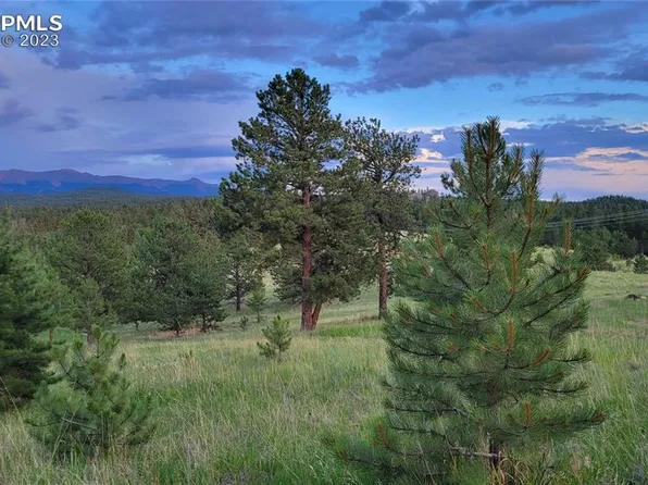 125 Berylium Rd, Florissant, CO 80816