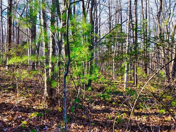 Ervin Brown Rd, Sunbright, TN 37872