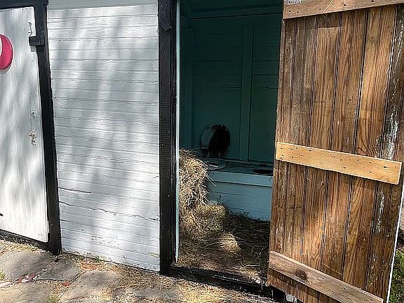 Boy's side of outhouse