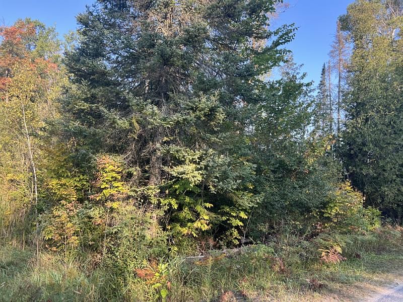 2nd image of Caldwell Rd
