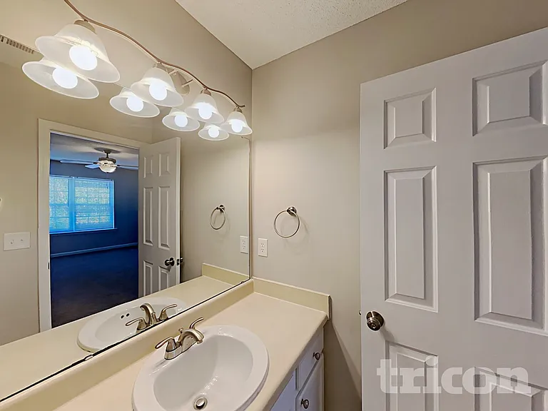223 Pebblestone Dr — Photo 8