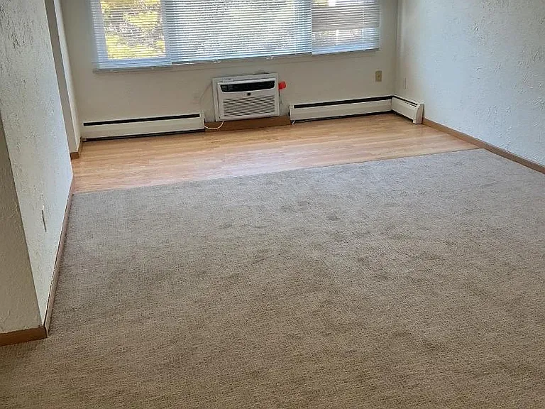 2447 County Road B — Photo 4