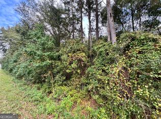 0 Elko Rd, Unadilla, GA 31091