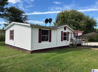 9681 Rineyville Big Springs Rd, Rineyville, KY 40162