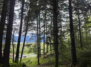 LOT Moose Ln #A, Haines, AK 99827