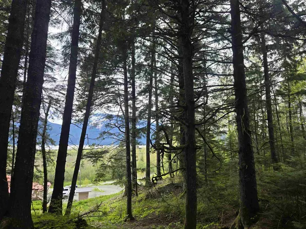 LOT Moose Ln #A, Haines, AK 99827