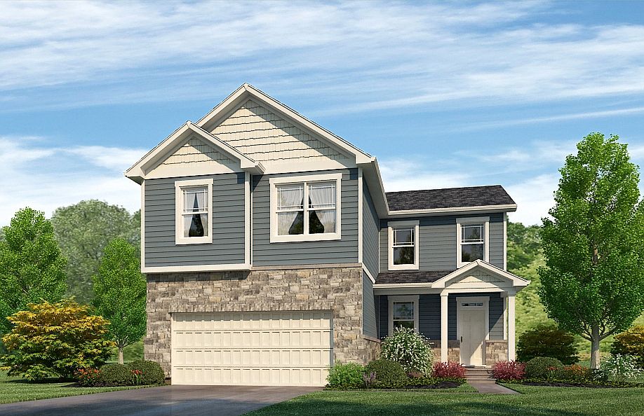 Elevation Image 1.