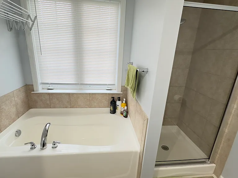 Master Bathroom tub & standing shower