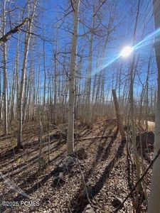 2307 S Aspen Ridge Dr #PI-G-9, Coalville, UT, 84017