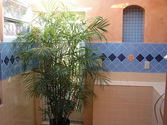 master shower