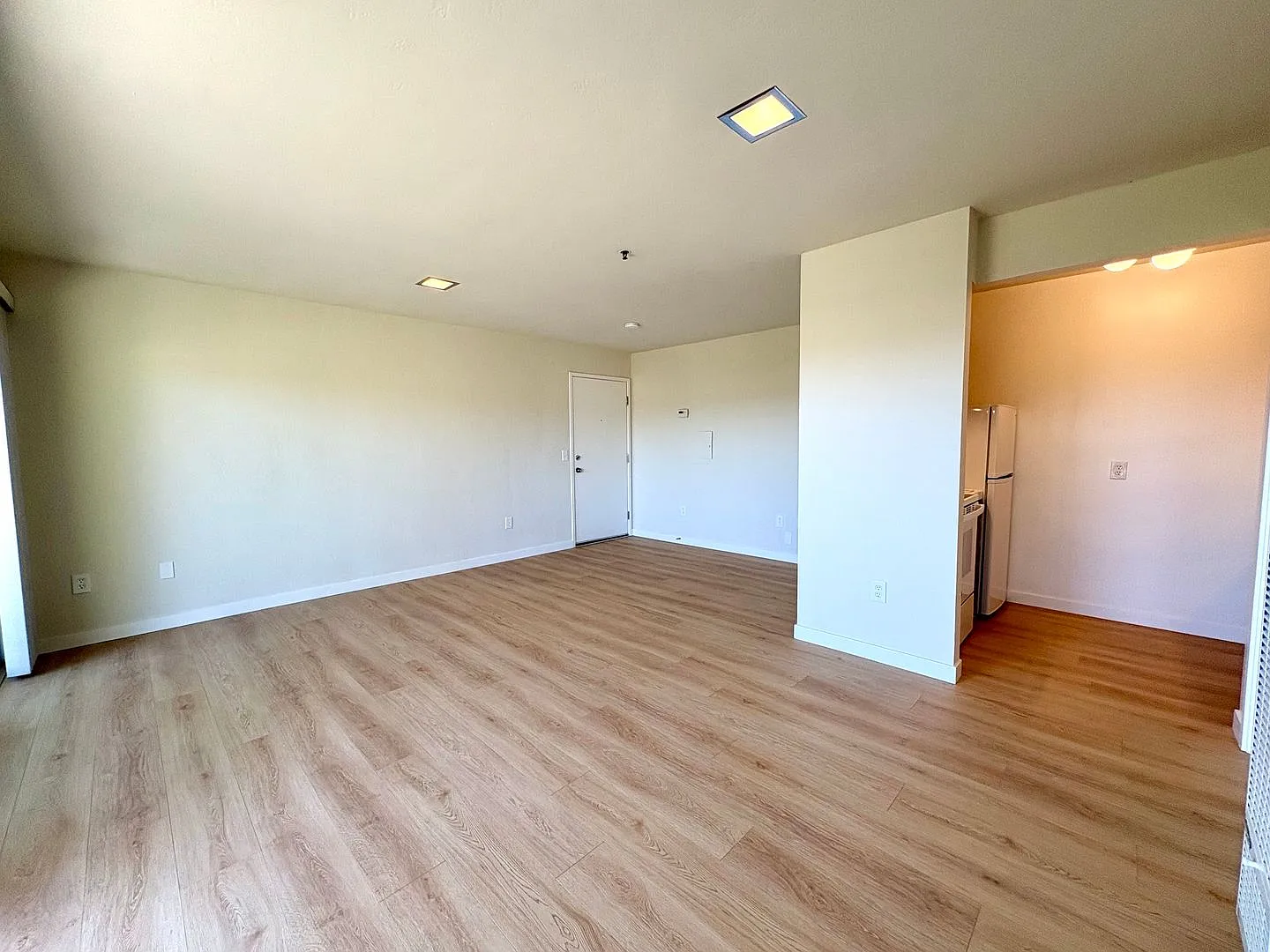 Beautiful 1Bd/1Ba Apt with Private Patio in Mill Valley — Photo 4