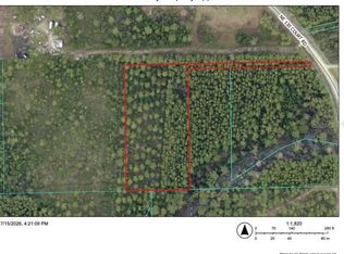NE Northeast 130 Court Rd LOT 15, Fort Mc Coy, FL 32134