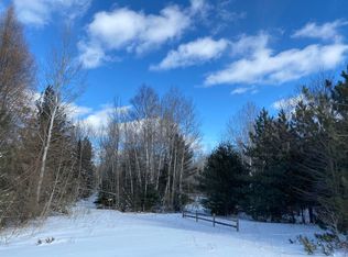 15387 Par Four Ct, Wolverine, MI 49799