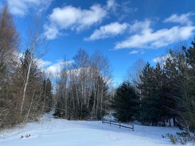 15387 Par Four Ct, Wolverine, MI, 49799