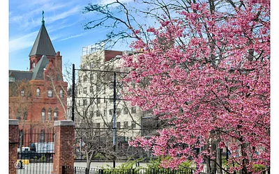 Rented by Douglas Elliman