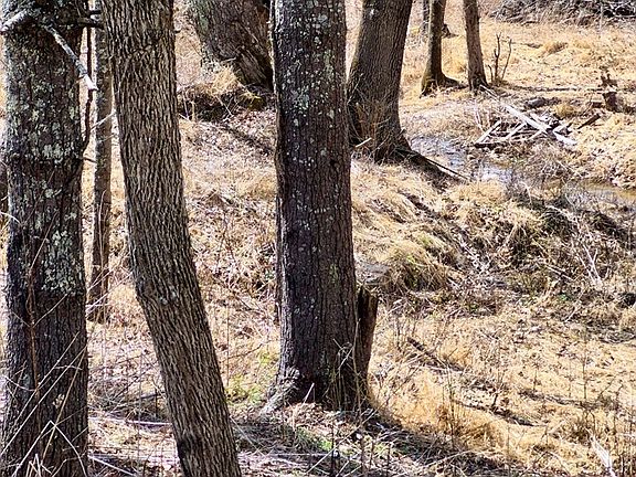 5th image of 953 Hines Branch Rd