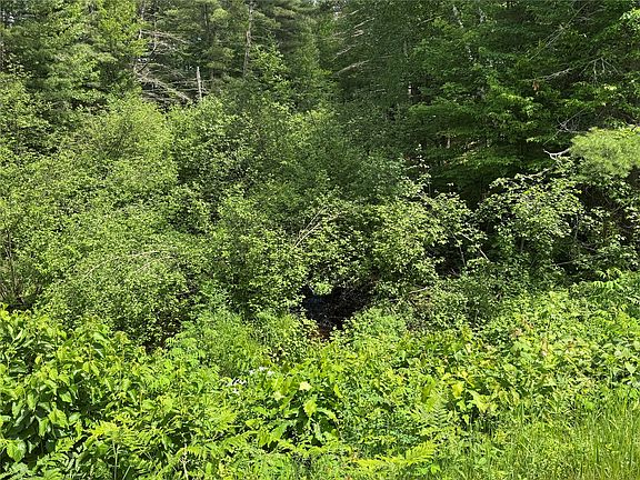4th image of N 6398 Fred Tripp Road