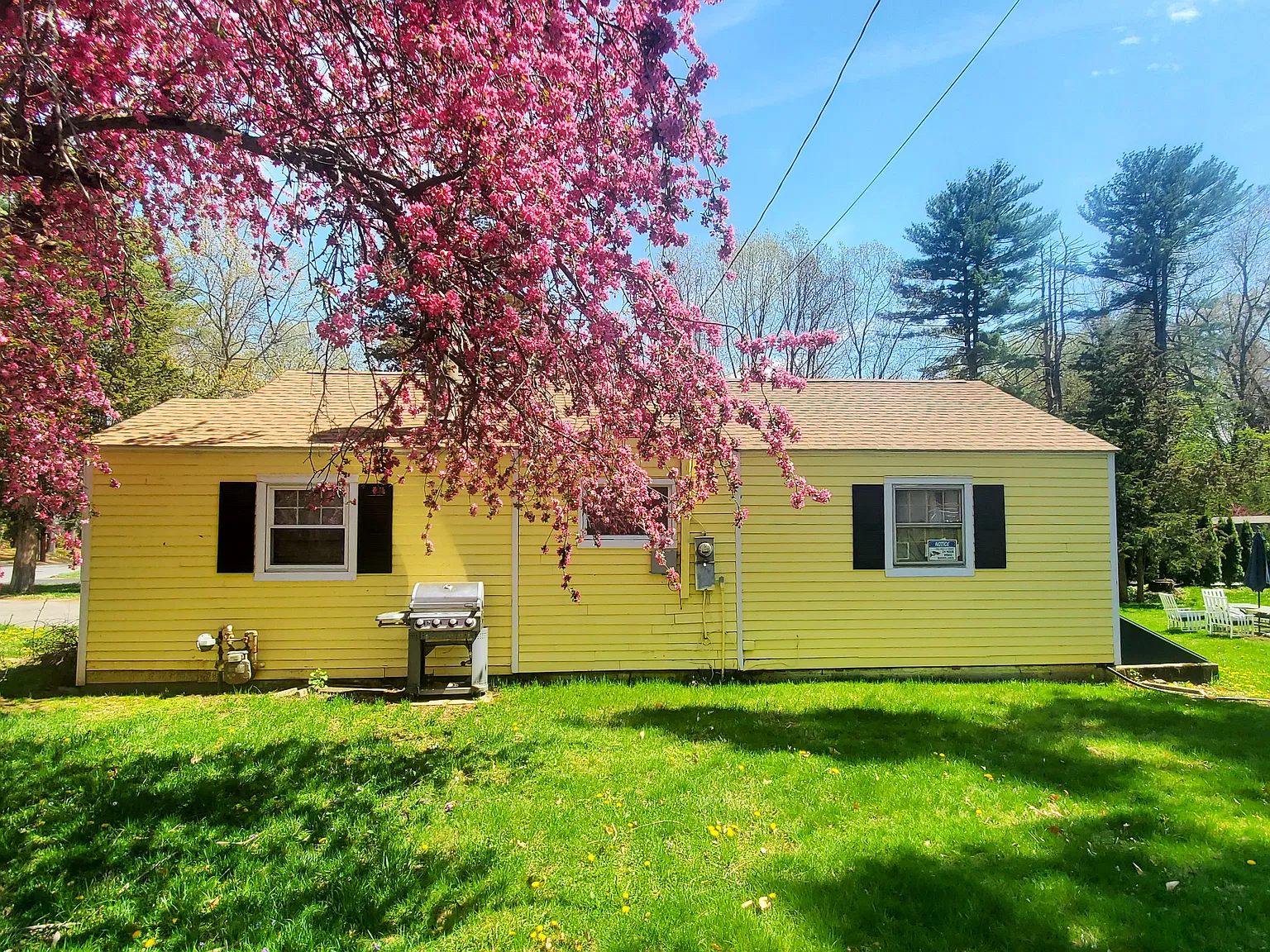 3 bed, 1172 sqft, $2,600 — Photo 4